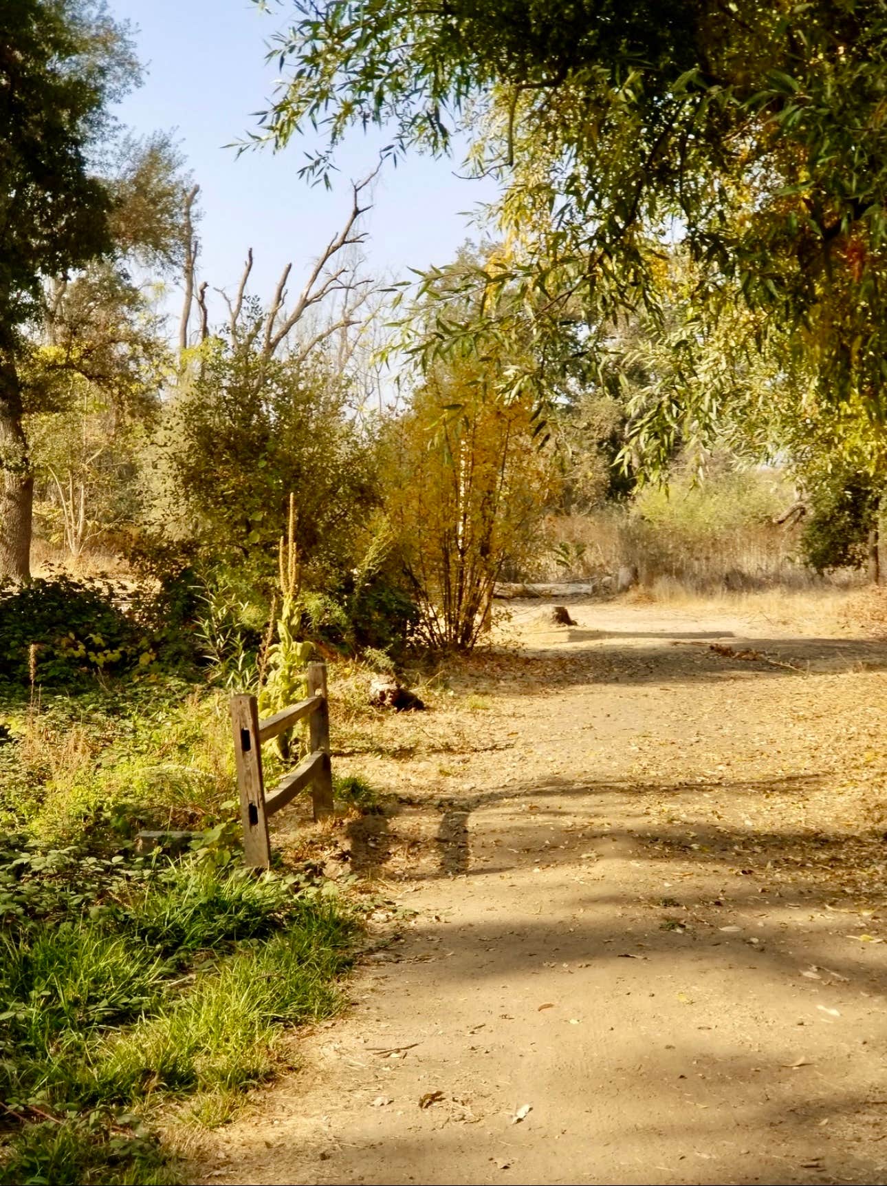 Camper submitted image from Tuolumne River Ranch - 5