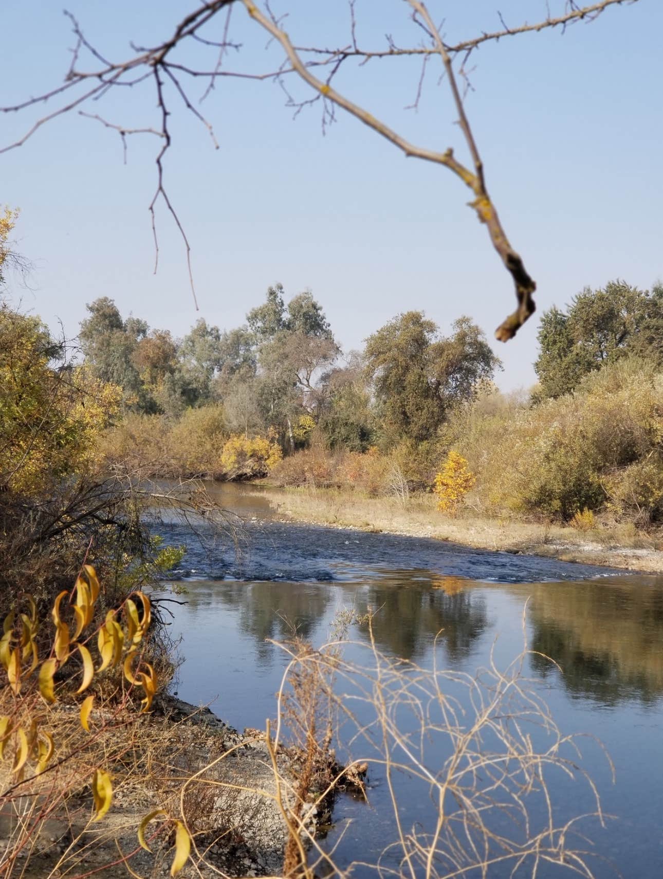 Camper submitted image from Tuolumne River Ranch - 4