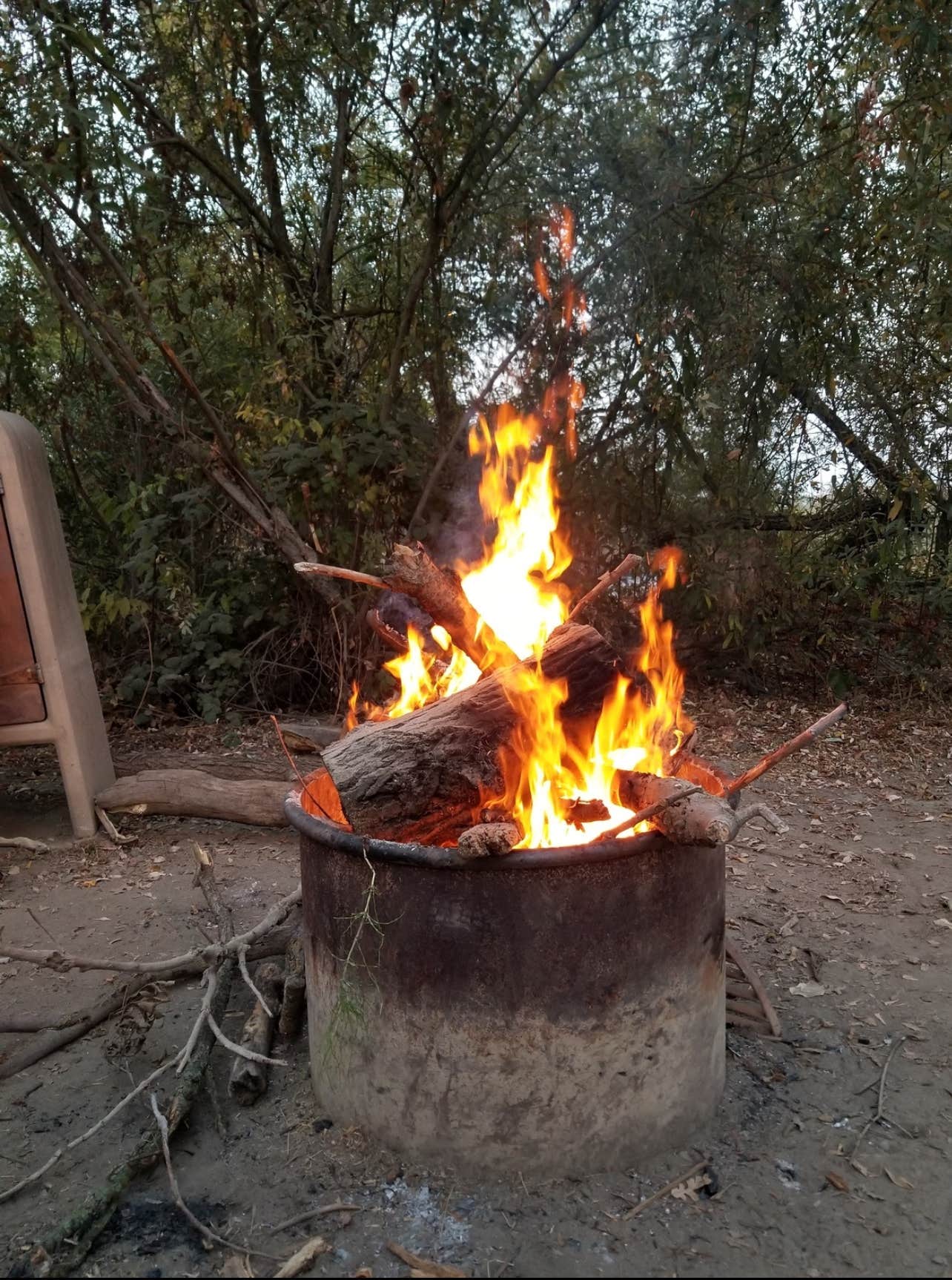 Camper submitted image from Tuolumne River Ranch - 5