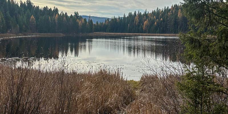 Camper submitted image from Tuppers Lake