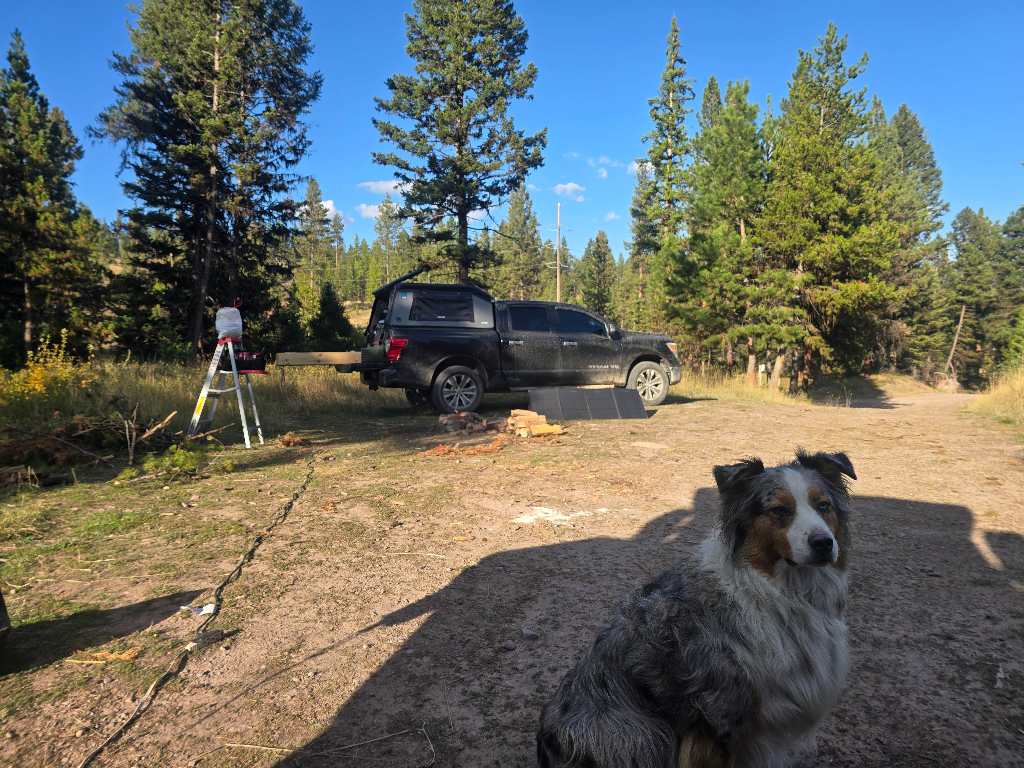 Camping near Harpers Lake: Tuppers Lake, Seeley Lake, Montana