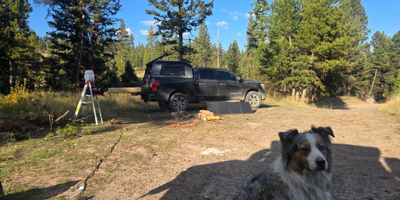 Camper submitted image from Tuppers Lake