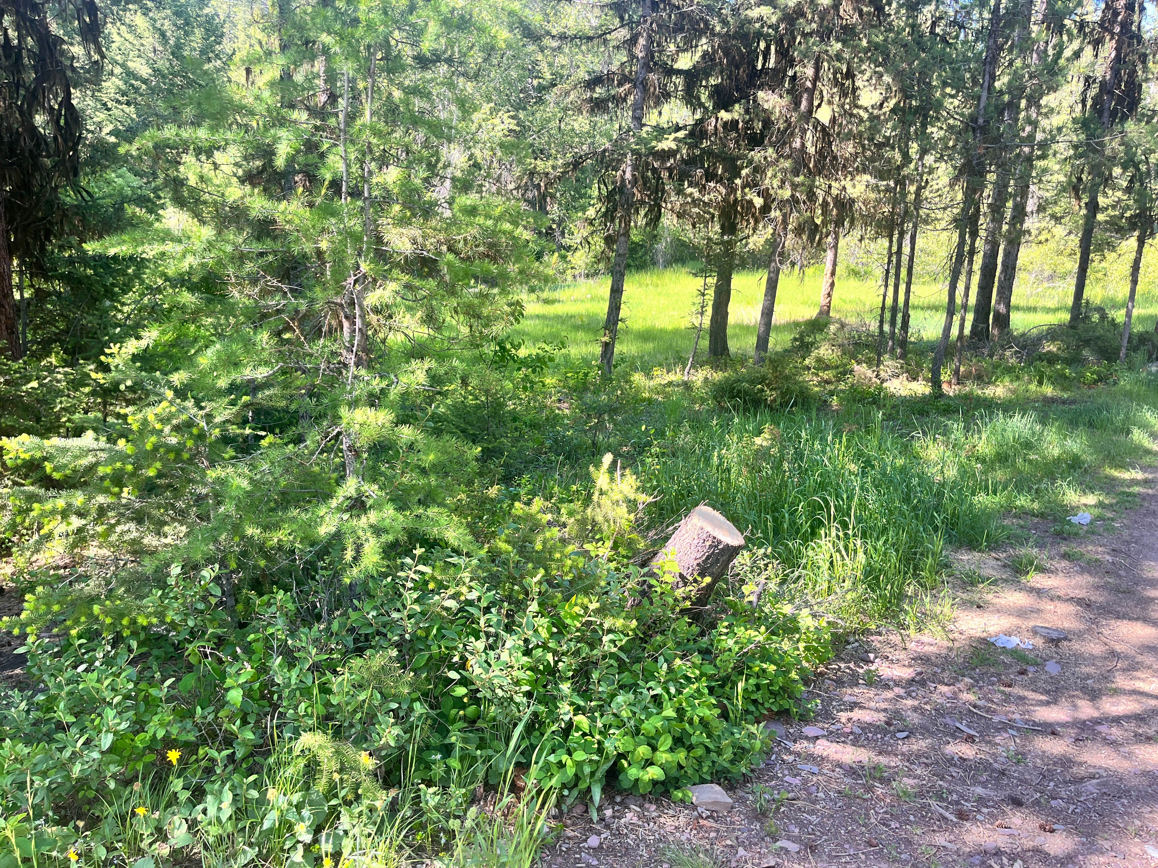 Camper-submitted photo at Tuppers Lake near Seeley Lake, MT