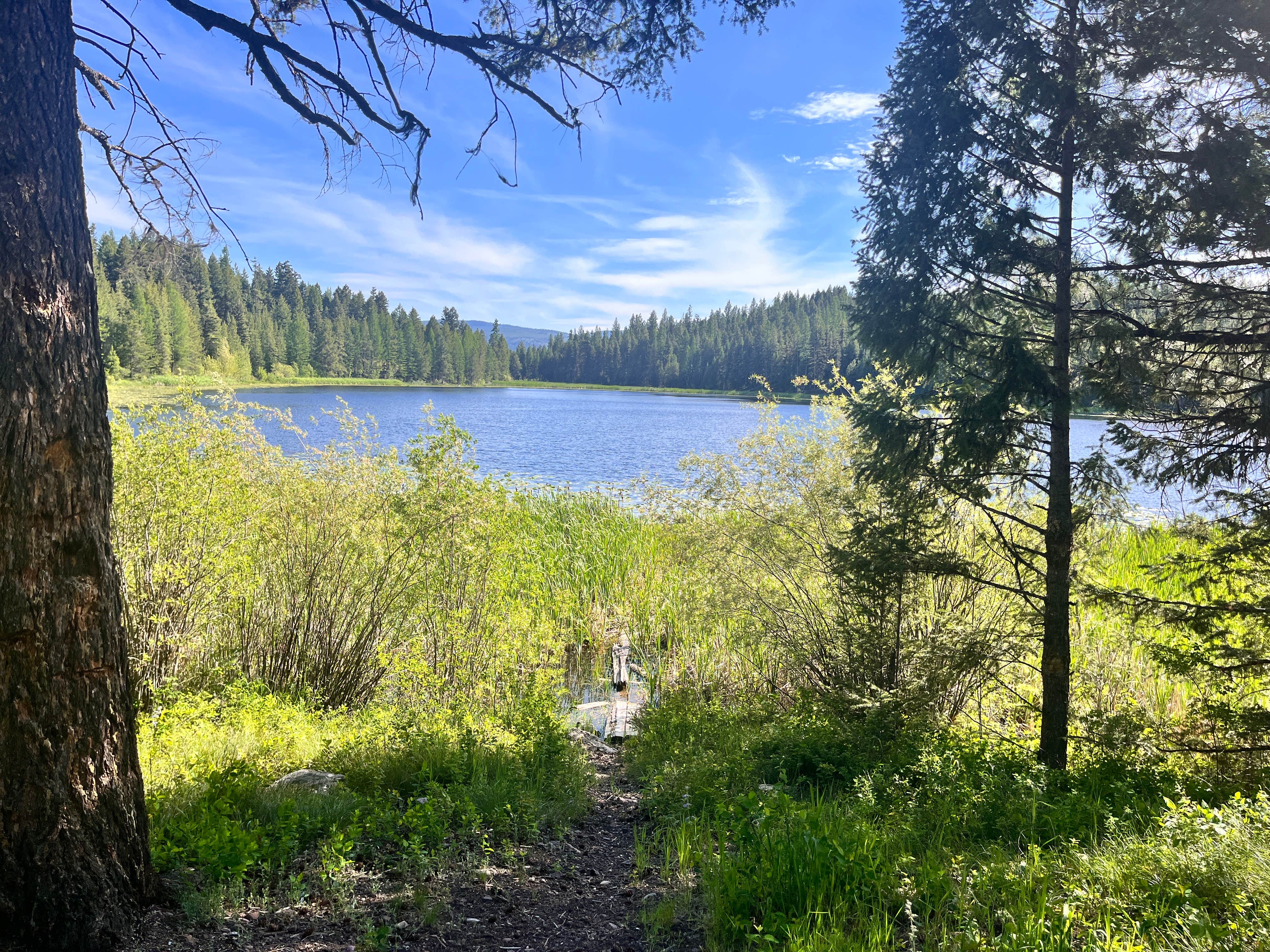 Camper-submitted photo at Tuppers Lake near Seeley Lake, MT