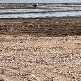 Review photo of Turkey Bay Vehicle Area & Campground by Whit A., March 21, 2026