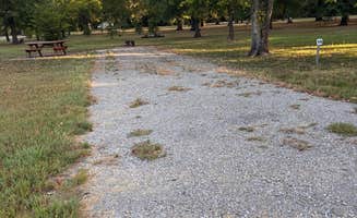 Kandice S.'s photo of camping with pets at turkey bayou campground Illinois near Makanda, IL