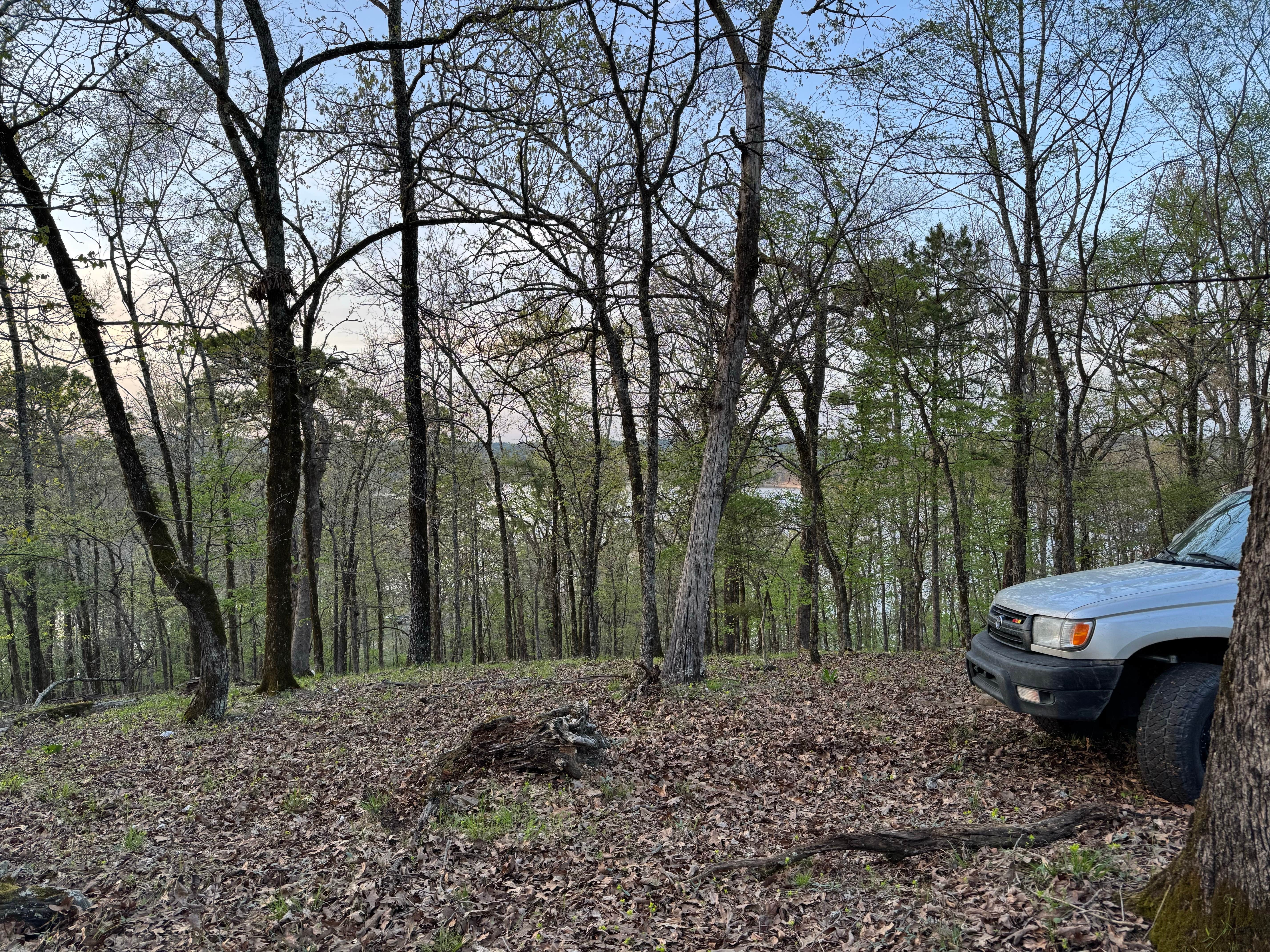 Camper-submitted photo at Turkey Circle — Beavers Bend State Park near Broken Bow, OK