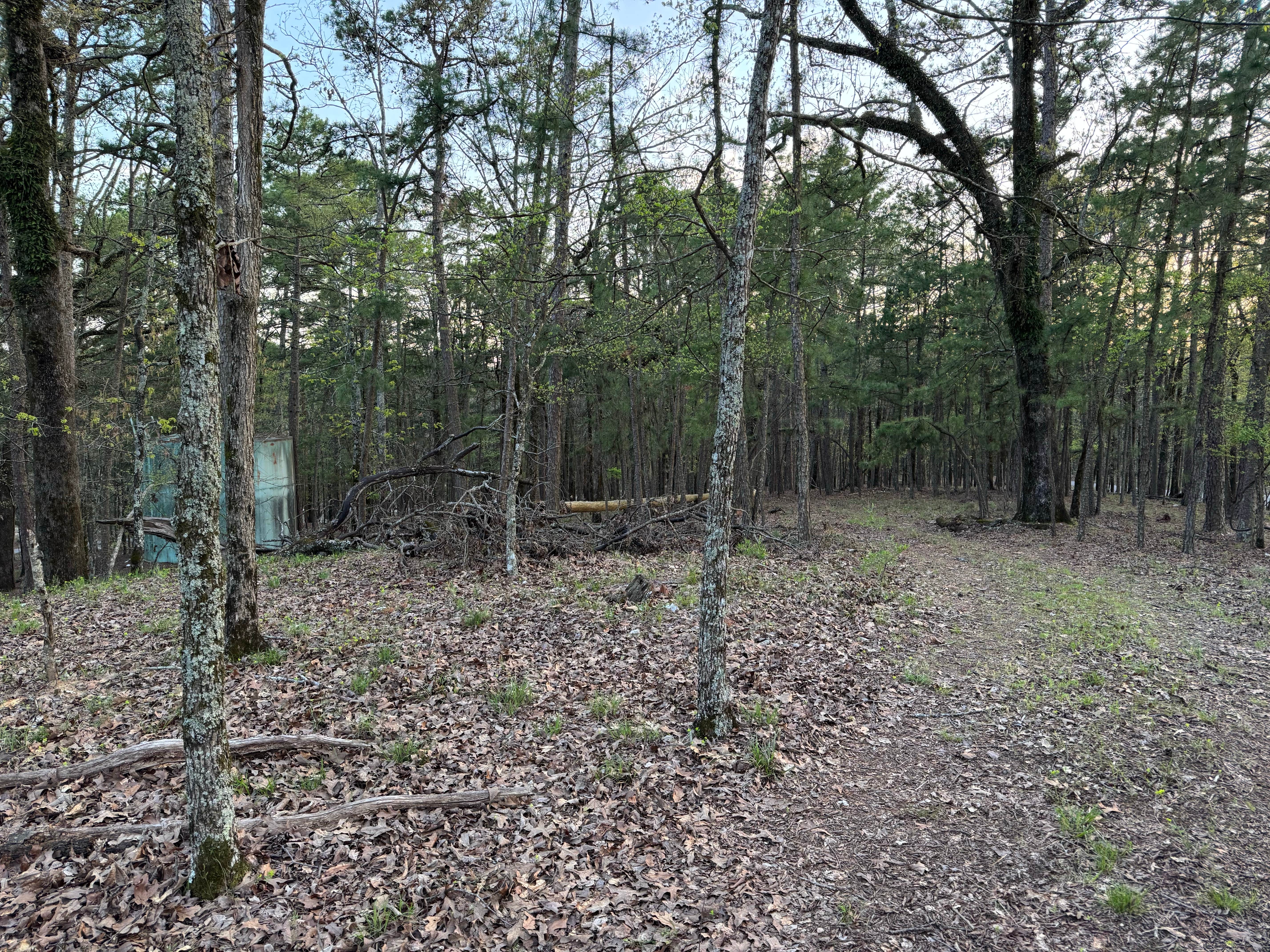 Camping near Elm Campground — Beavers Bend State Park: Turkey Circle — Beavers Bend State Park, Broken Bow, Oklahoma