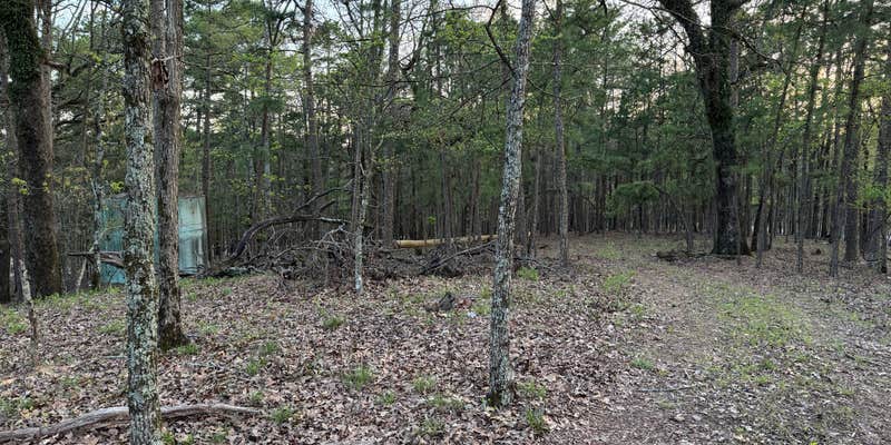 Camper submitted image from Turkey Circle — Beavers Bend State Park
