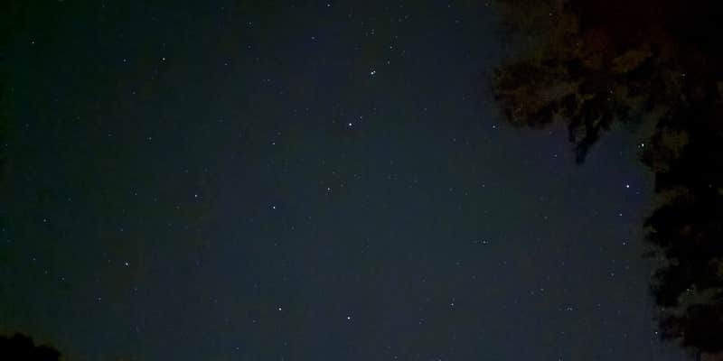 Camper submitted image from Turkey Creek Campground — Tims Ford State Park