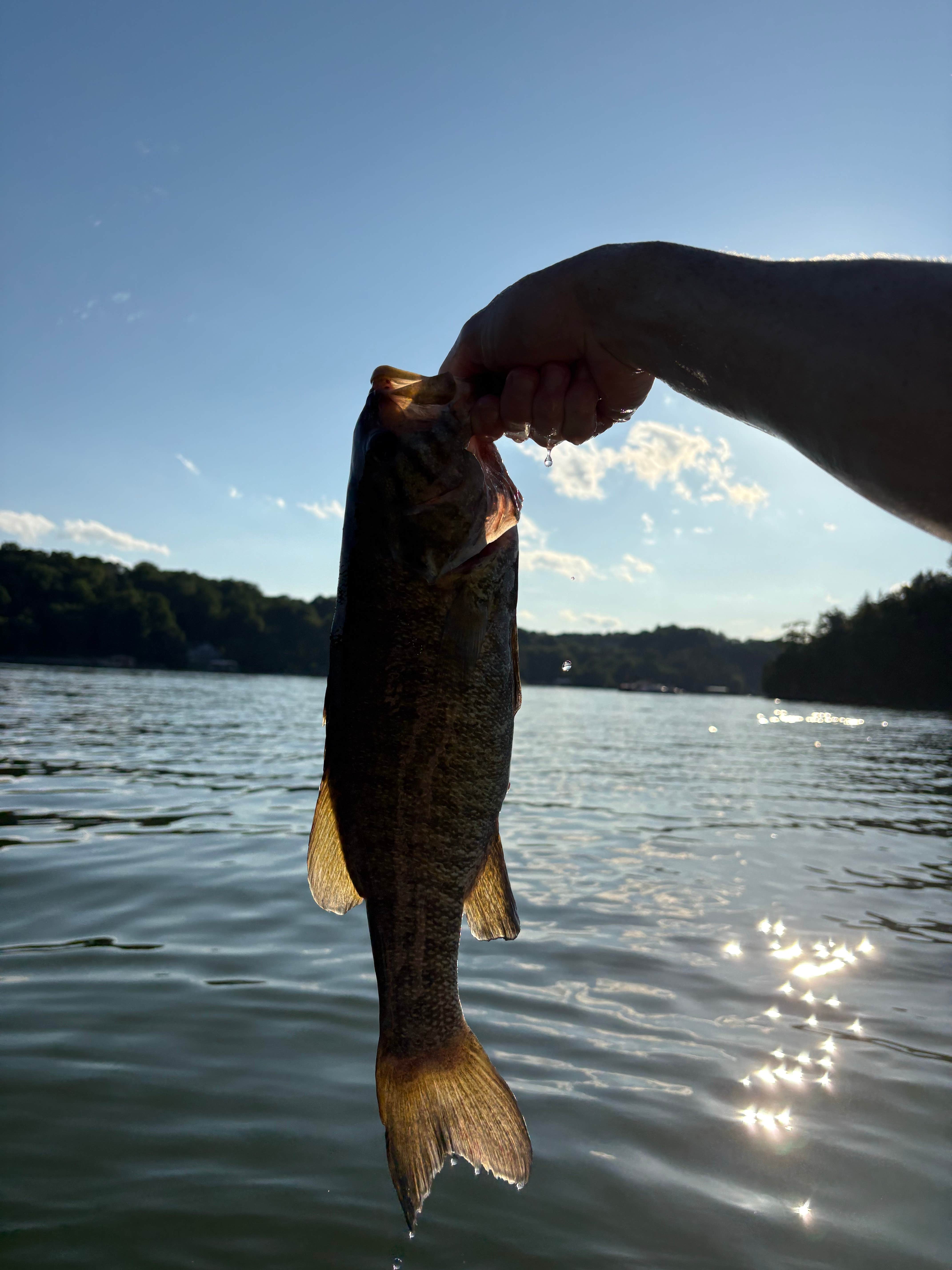 Camper-submitted photo at Turkey Creek Campground — Tims Ford State Park near Normal, AL