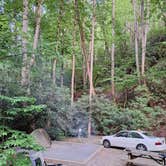 Review photo of Turkey Creek Campground by smittypub2@gmail.com S., June 19, 2024