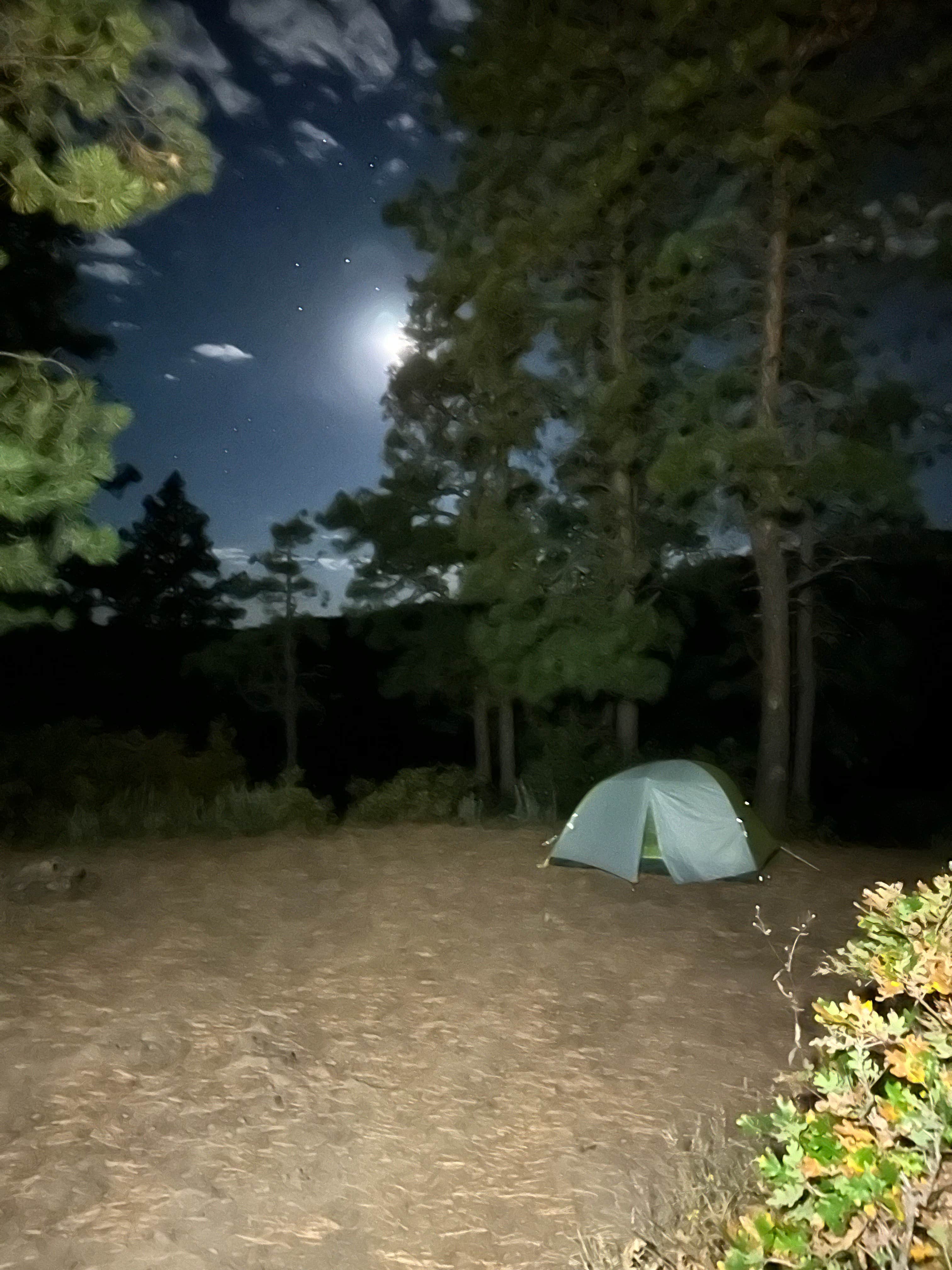 Camper-submitted photo at Turkey Creek Road near Pagosa Springs, CO