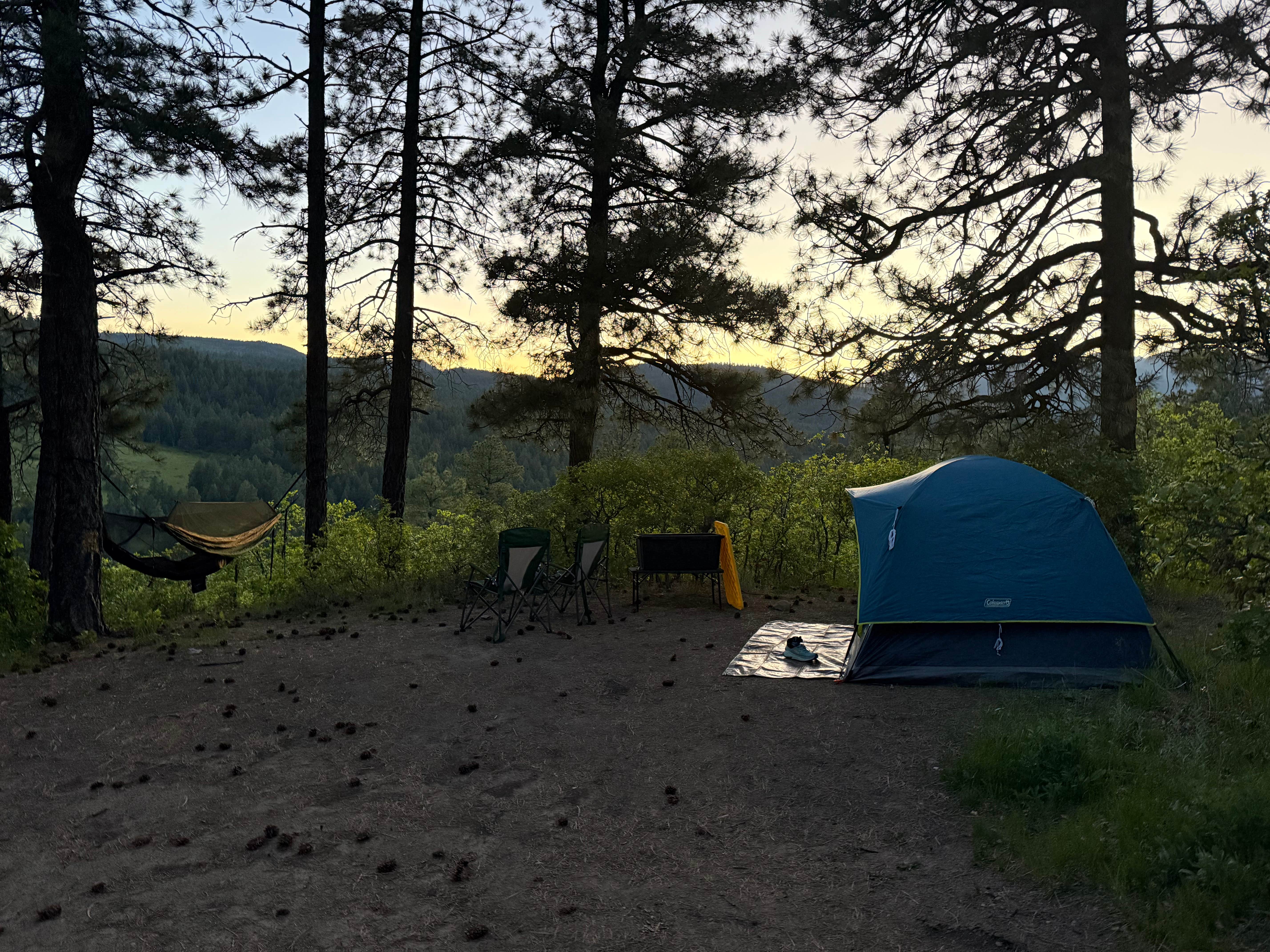 Misty B.'s photo of tent camping at Turkey Creek Road near Capulin, CO