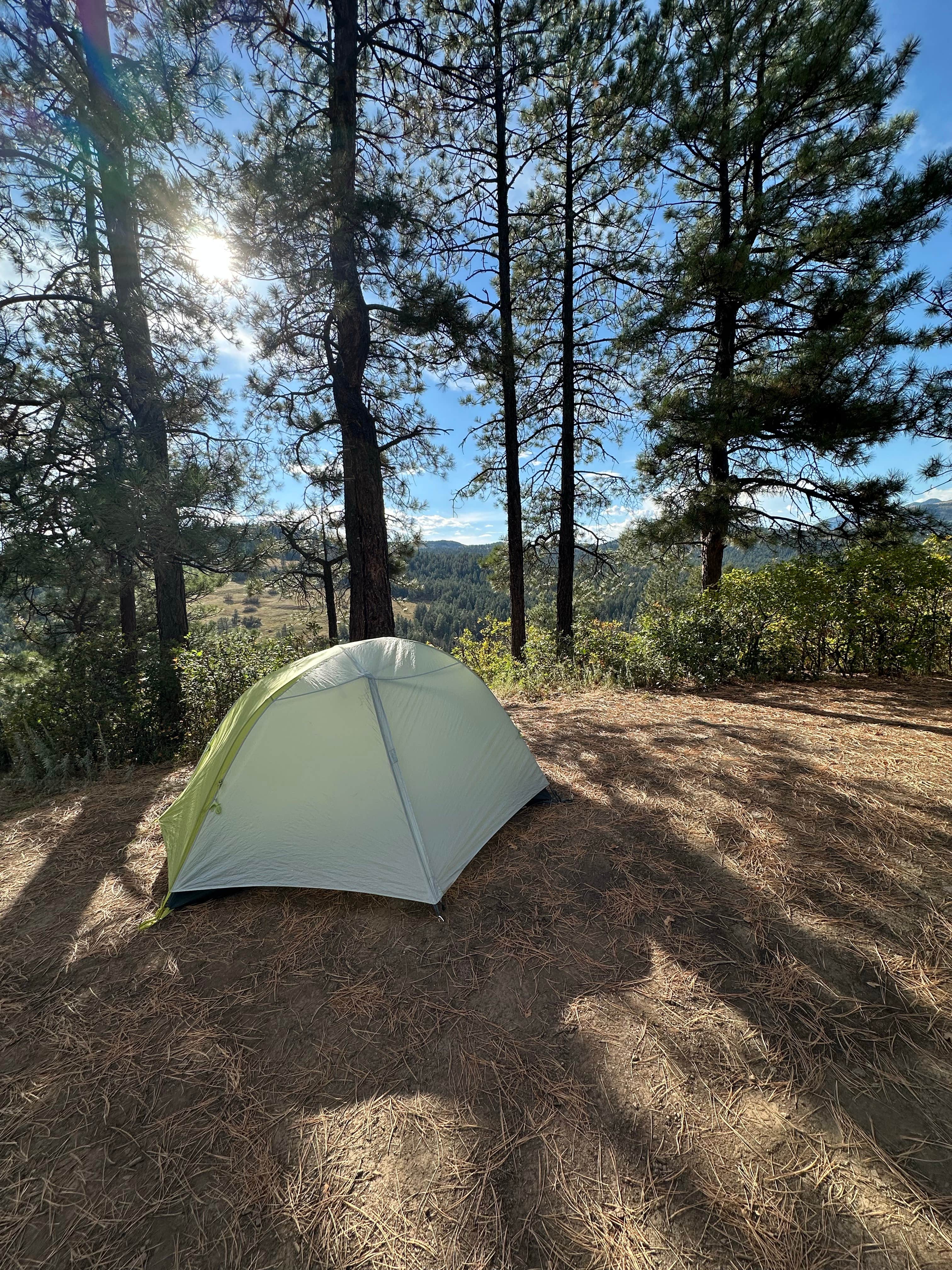 Camper-submitted photo at Turkey Creek Road near Pagosa Springs, CO