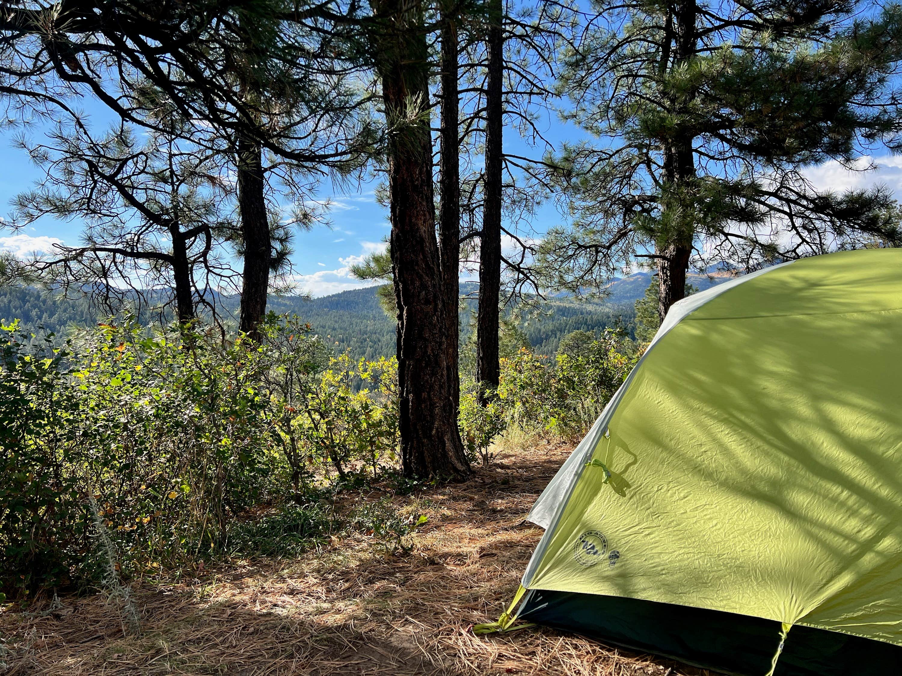Camper-submitted photo at Turkey Creek Road near Pagosa Springs, CO