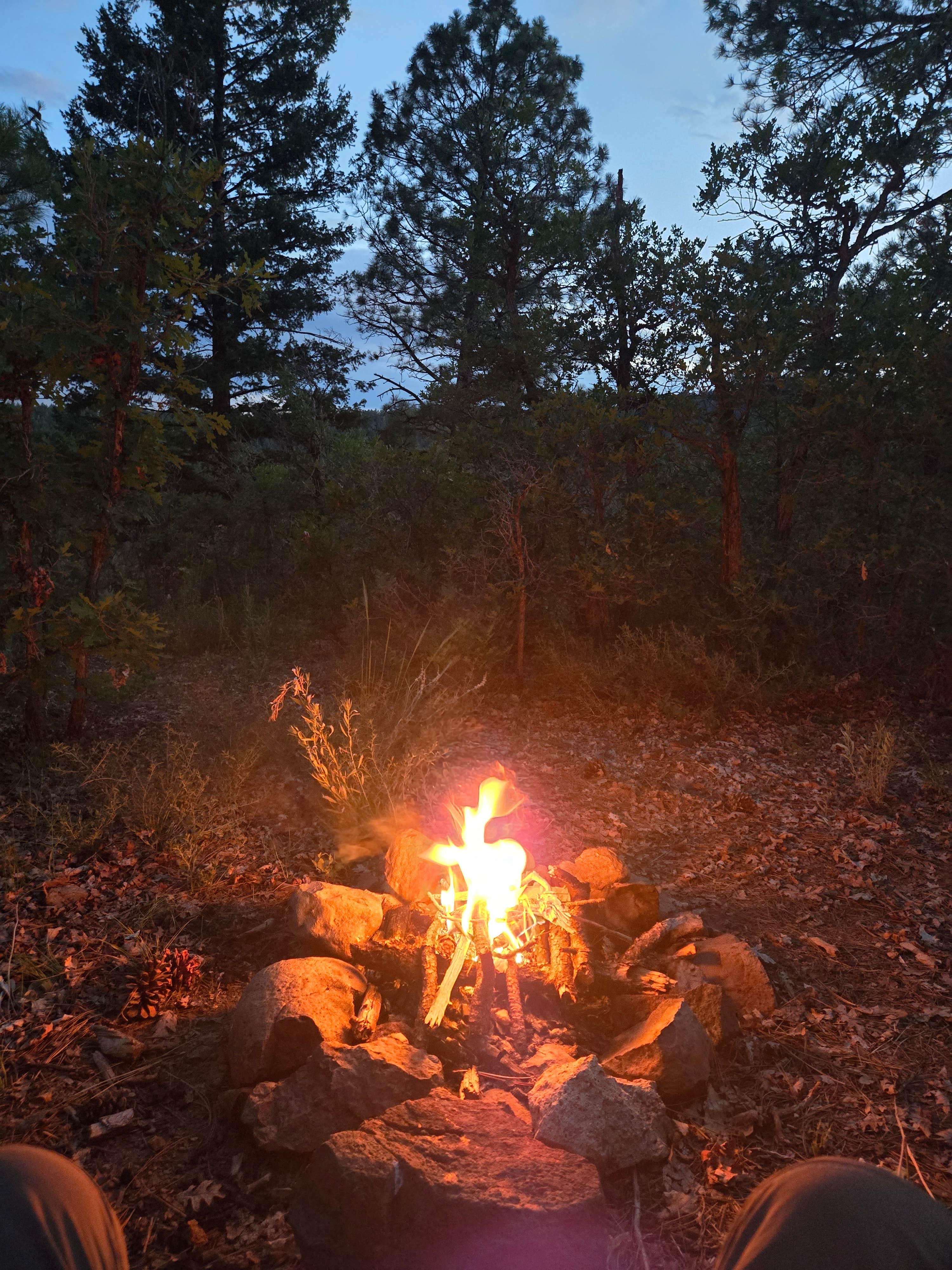 Camper-submitted photo at Turkey Creek Road near Pagosa Springs, CO
