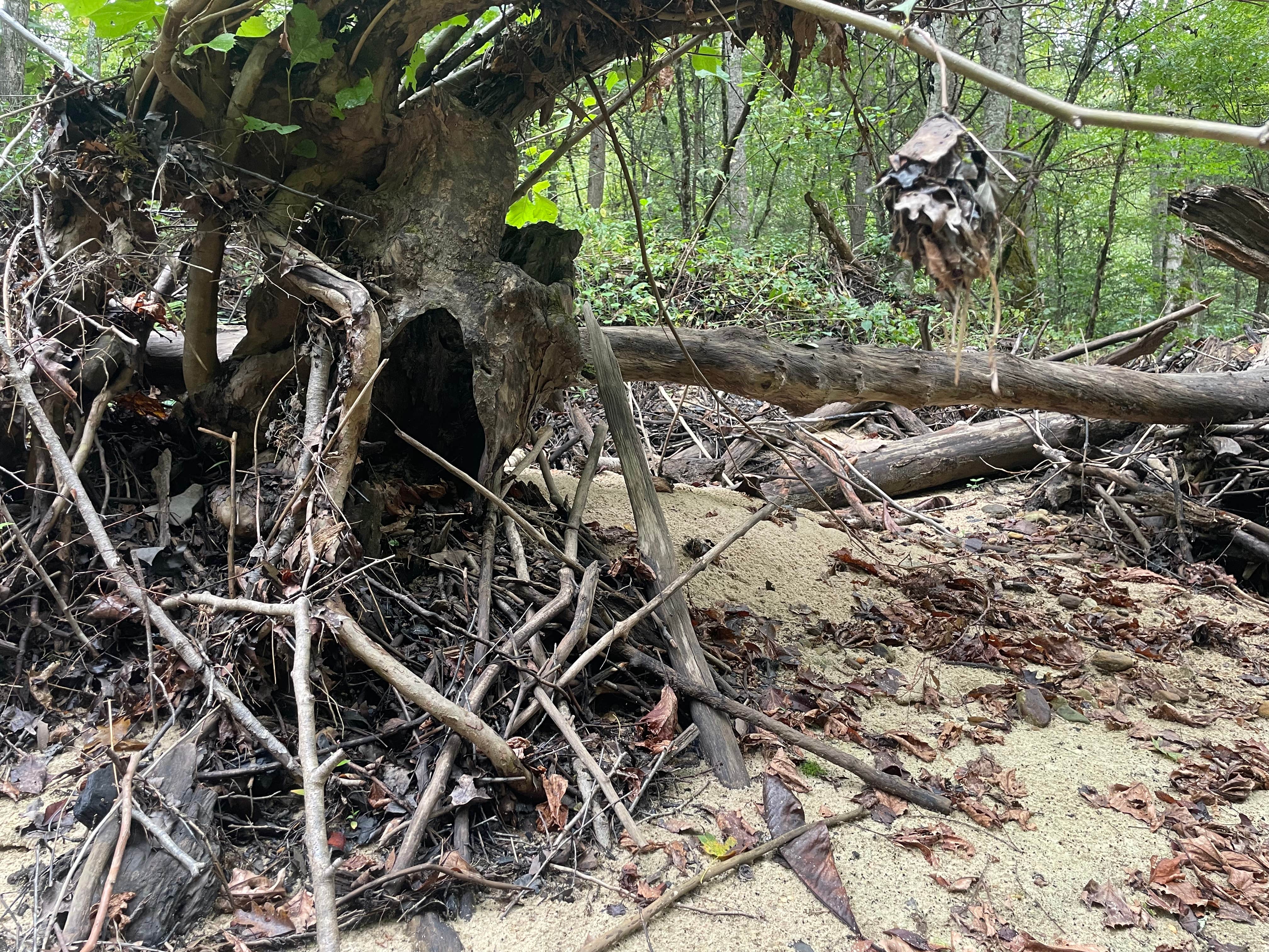 Turkey Foot Campground