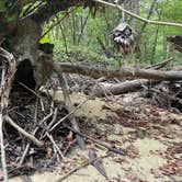Review photo of Turkey Foot Campground by Juliana J., October 14, 2026