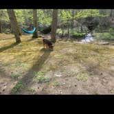 Review photo of Turkey Foot Campground by Liz M., December 22, 2025