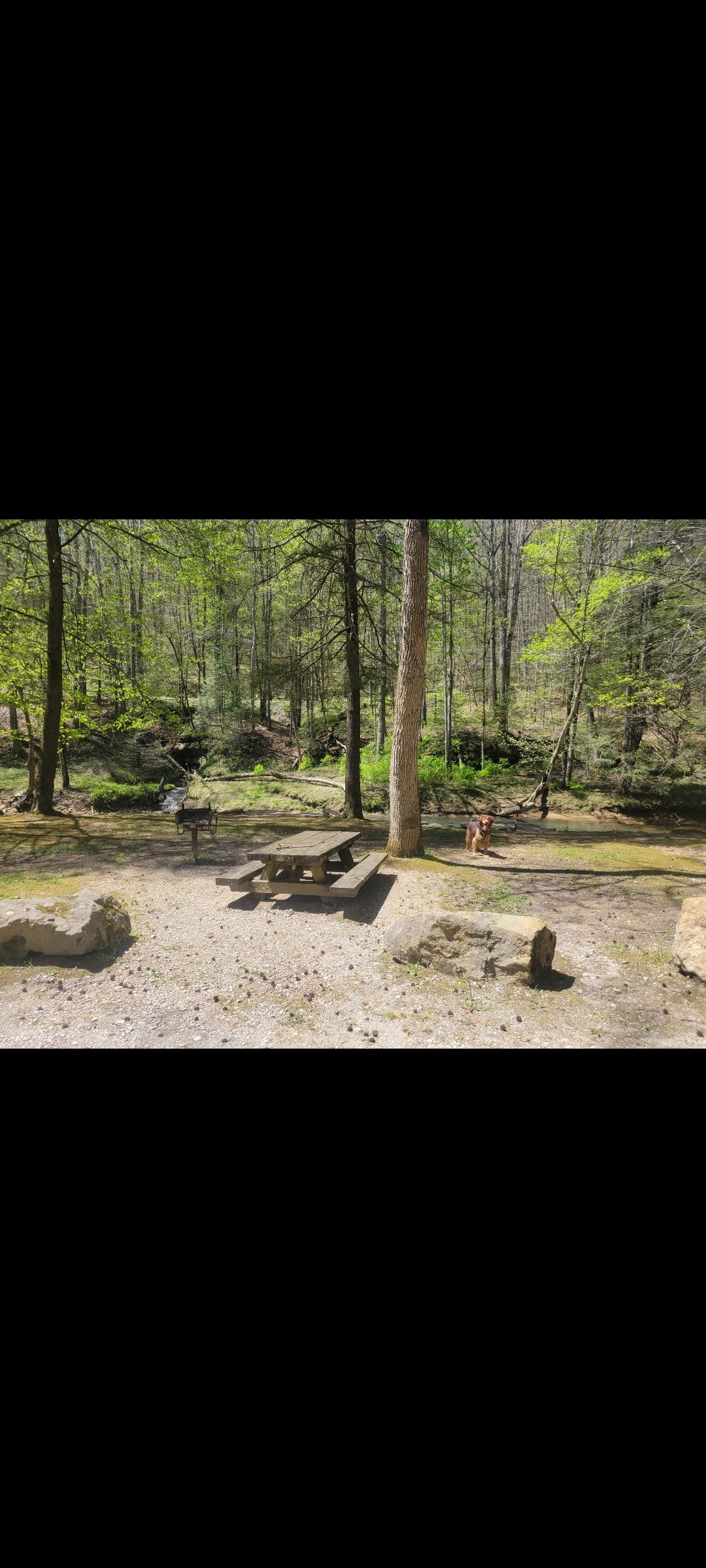 Camper-submitted photo at Turkey Foot Campground near Hazard, KY