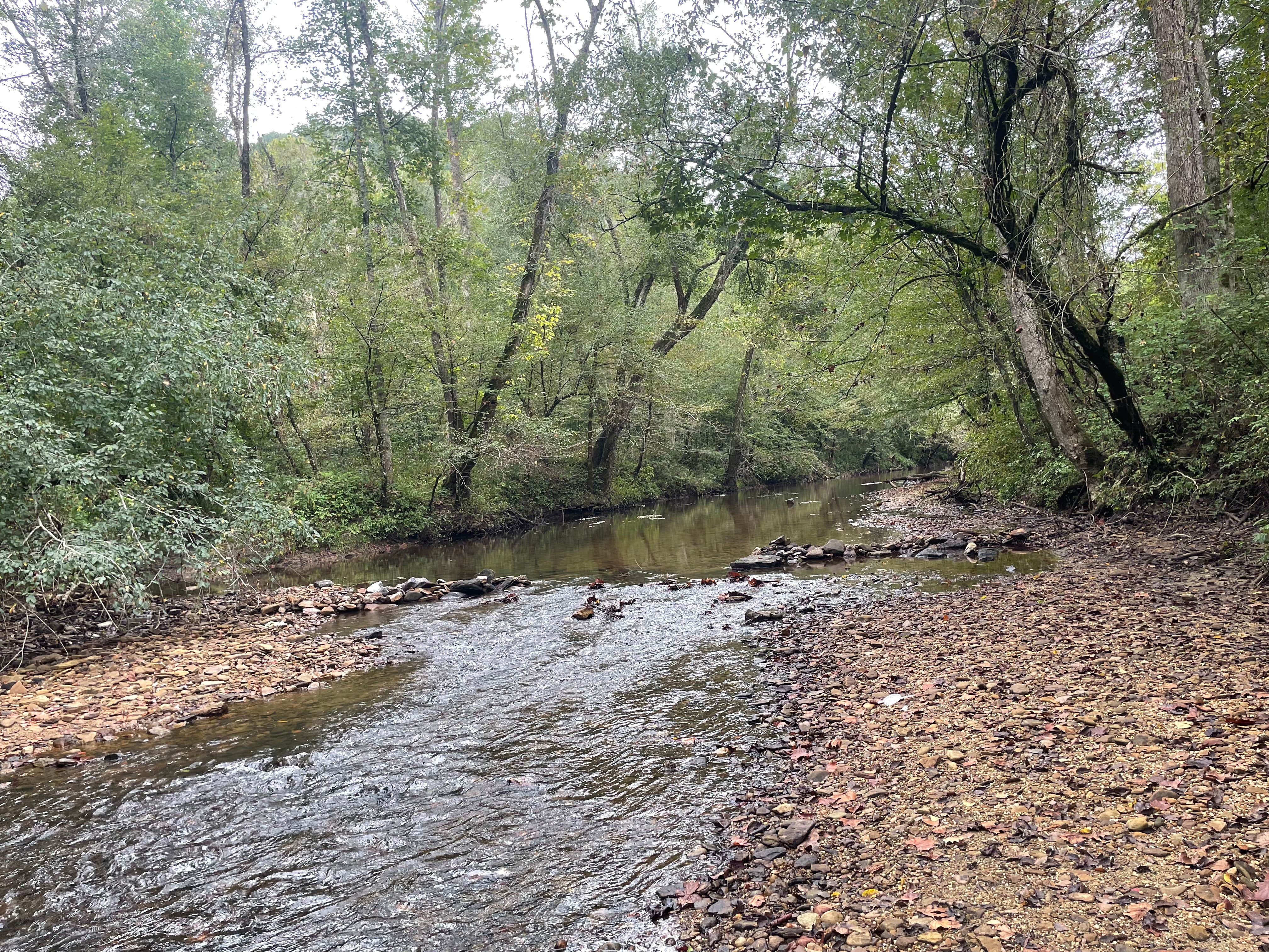 Turkey Foot Campground