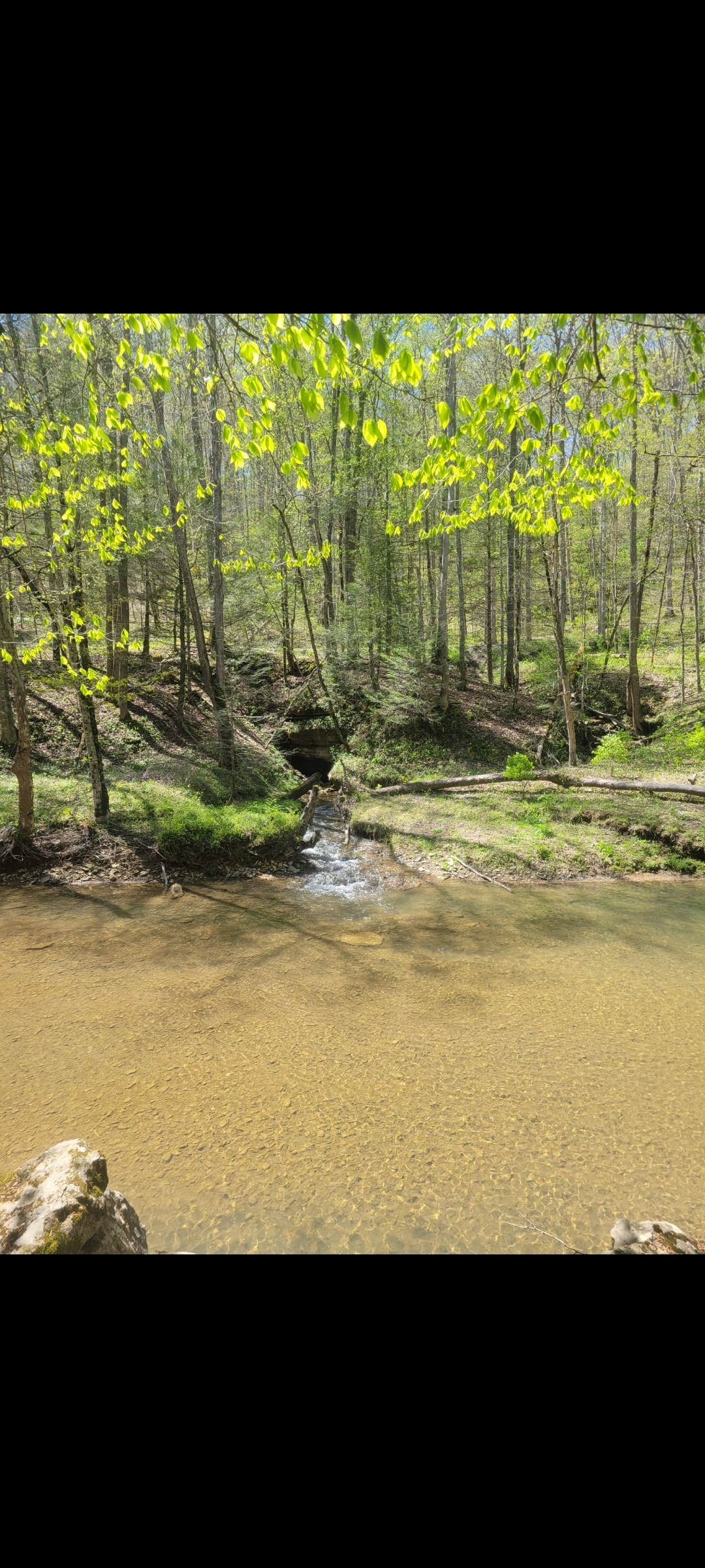 Camper submitted image from Turkey Foot Campground - 4