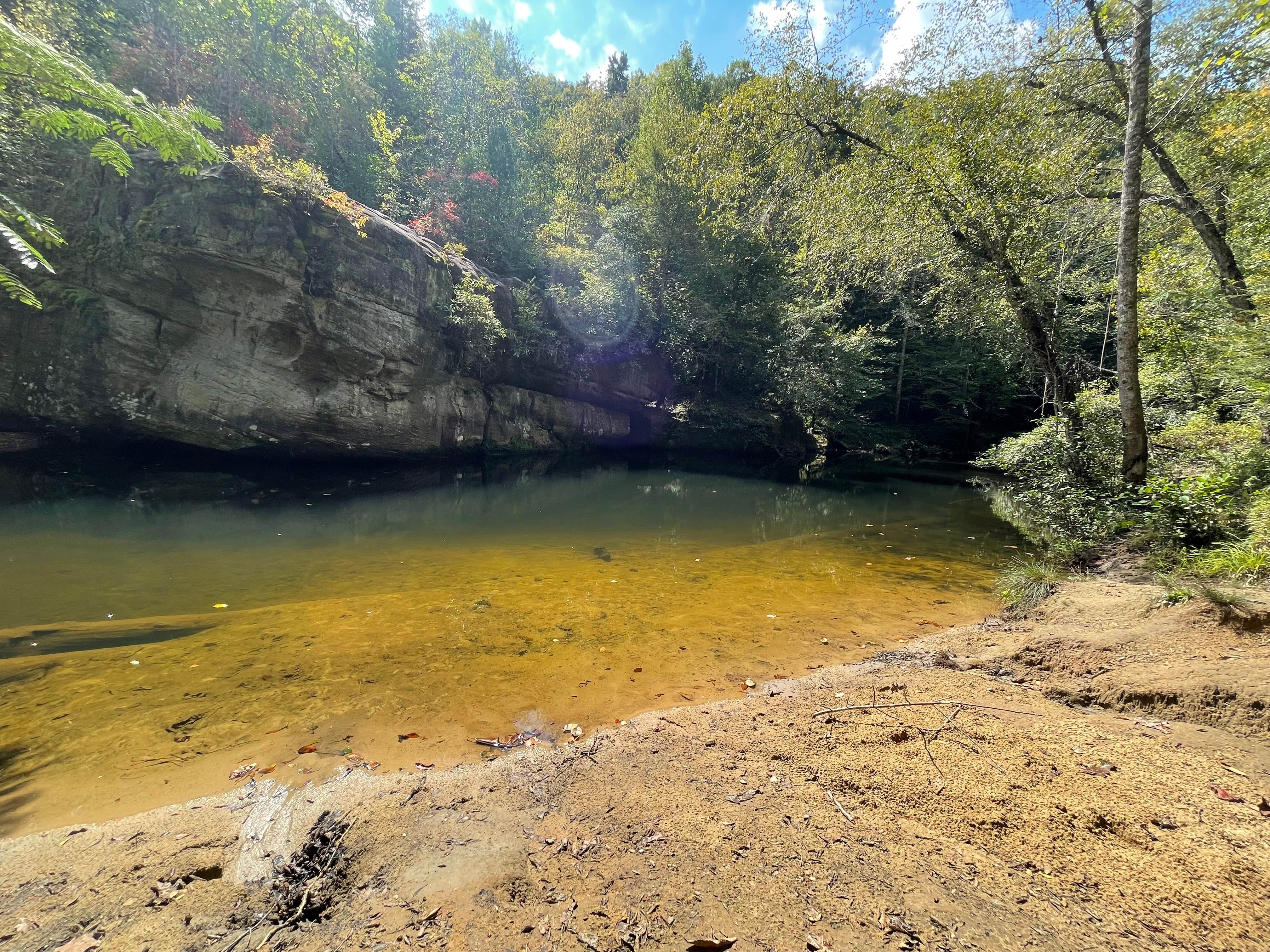 Camper-submitted photo at Turkey Foot Campground near Livingston, KY