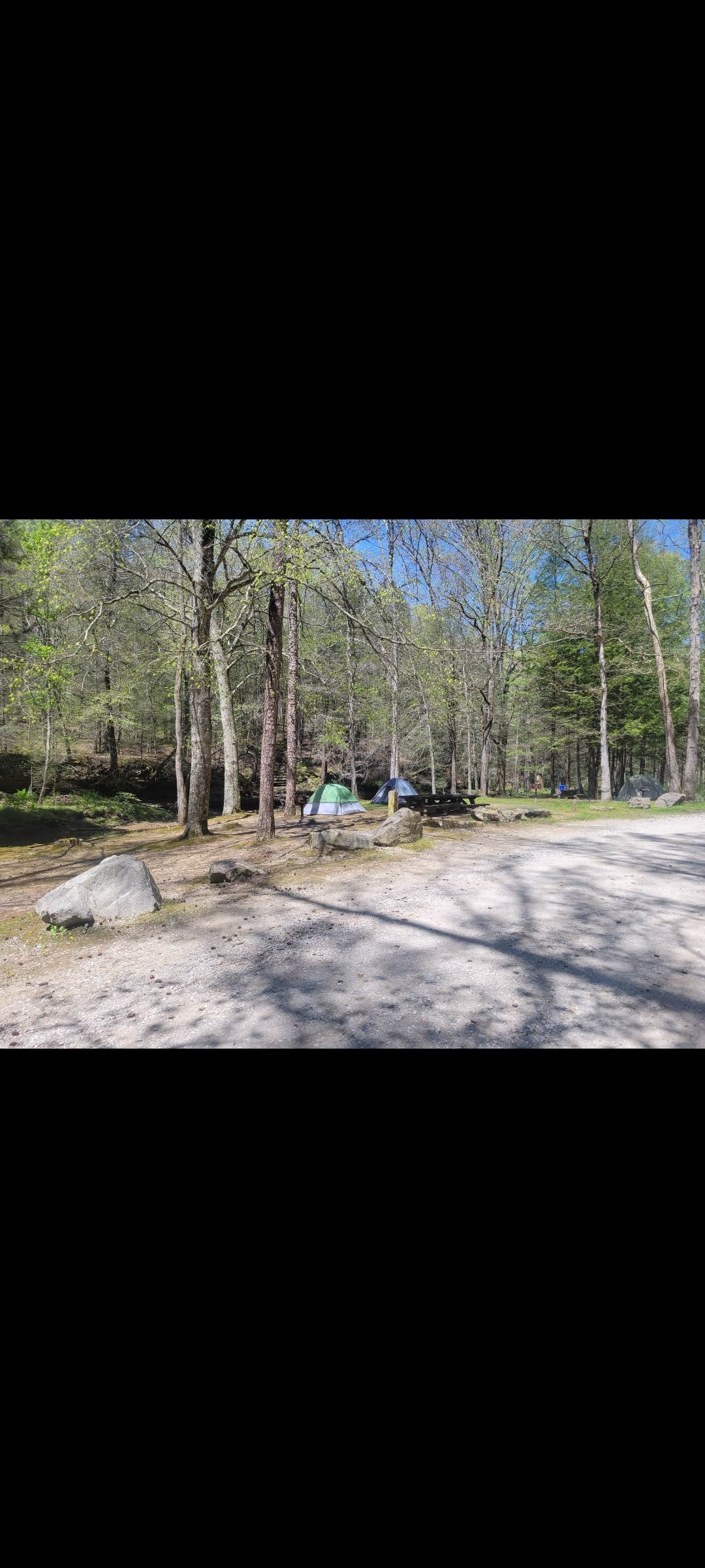 Camper submitted image from Turkey Foot Campground - 1