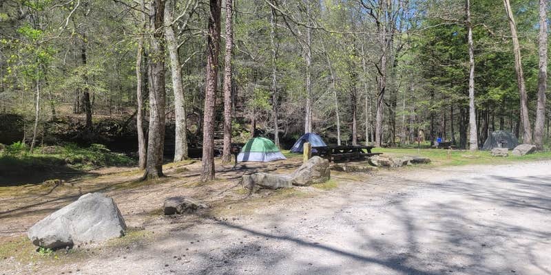 Camper submitted image from Turkey Foot Campground
