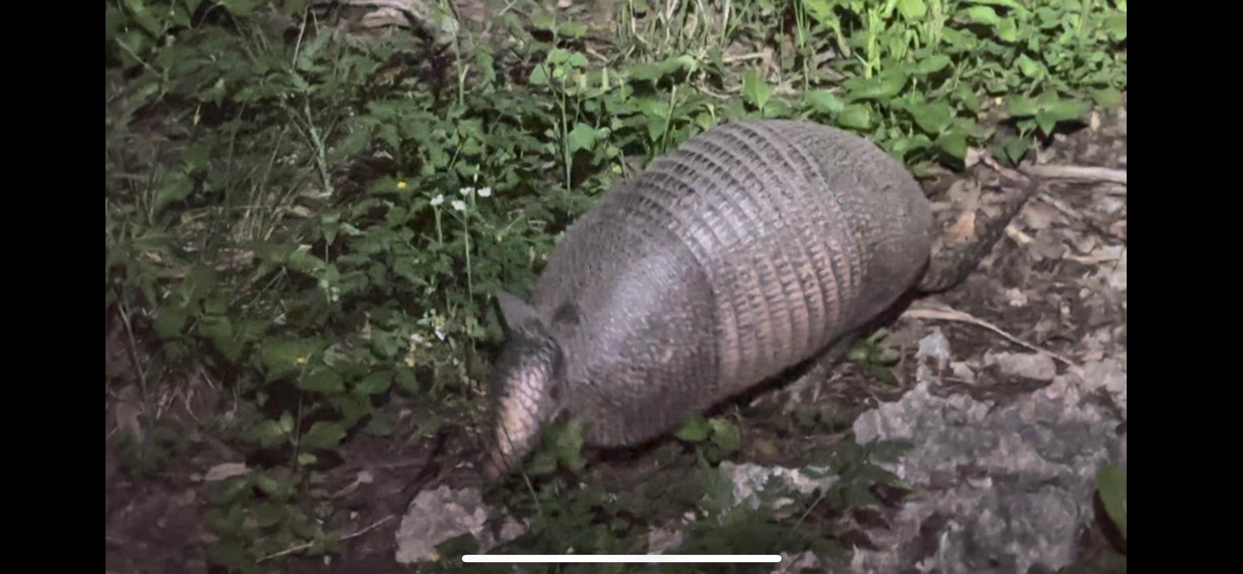 Camper-submitted photo at Turkey Sink Camping Area — Guadalupe River State Park near Fair Oaks Ranch, TX