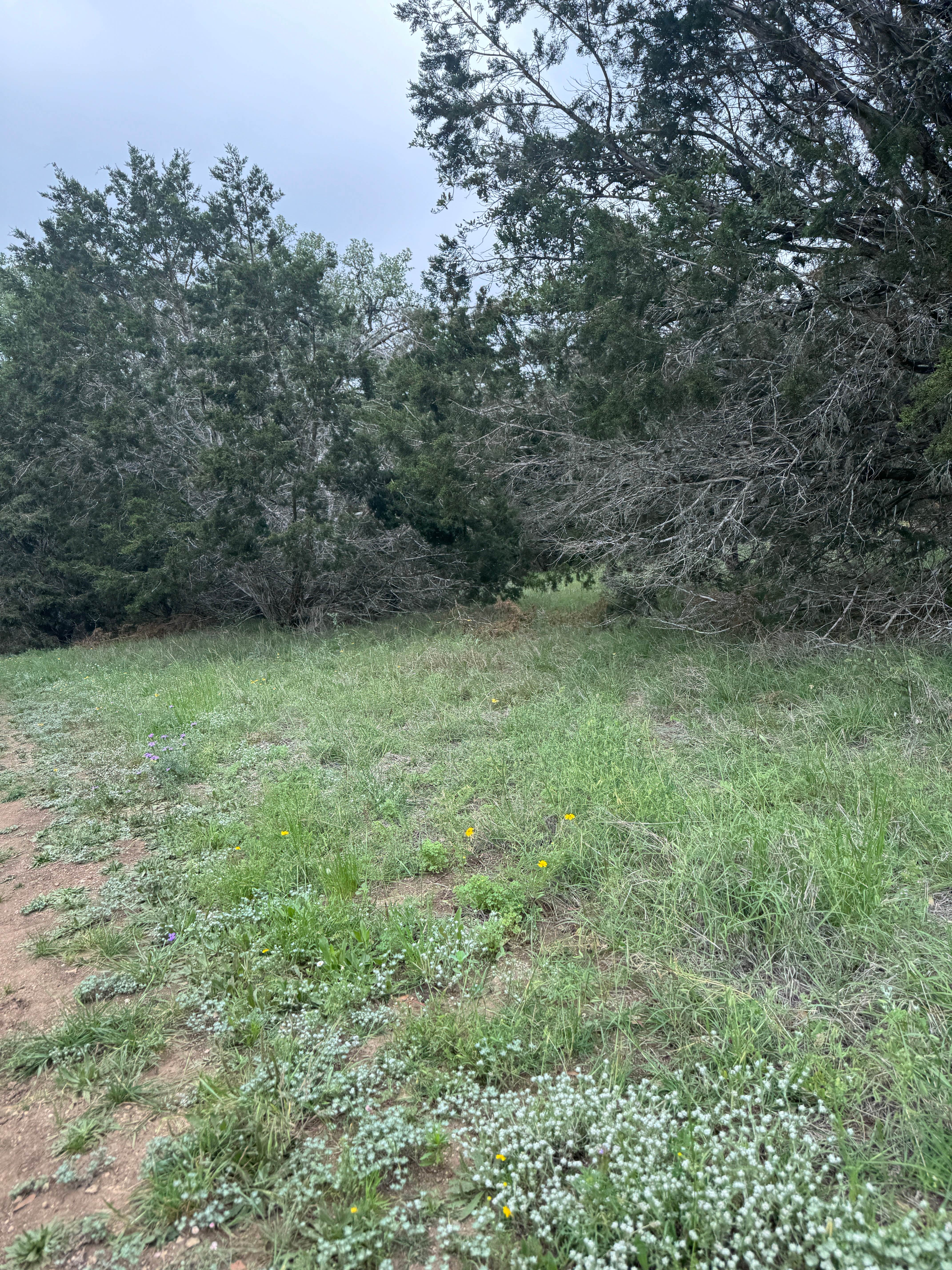 Camping near Desperado Resort: Turkey Sink Camping Area — Guadalupe River State Park, Spring Branch, Texas