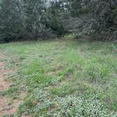 Review photo of Turkey Sink Camping Area — Guadalupe River State Park by Arthur M., April 19, 2024