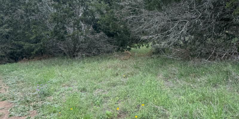 Camper submitted image from Turkey Sink Camping Area — Guadalupe River State Park