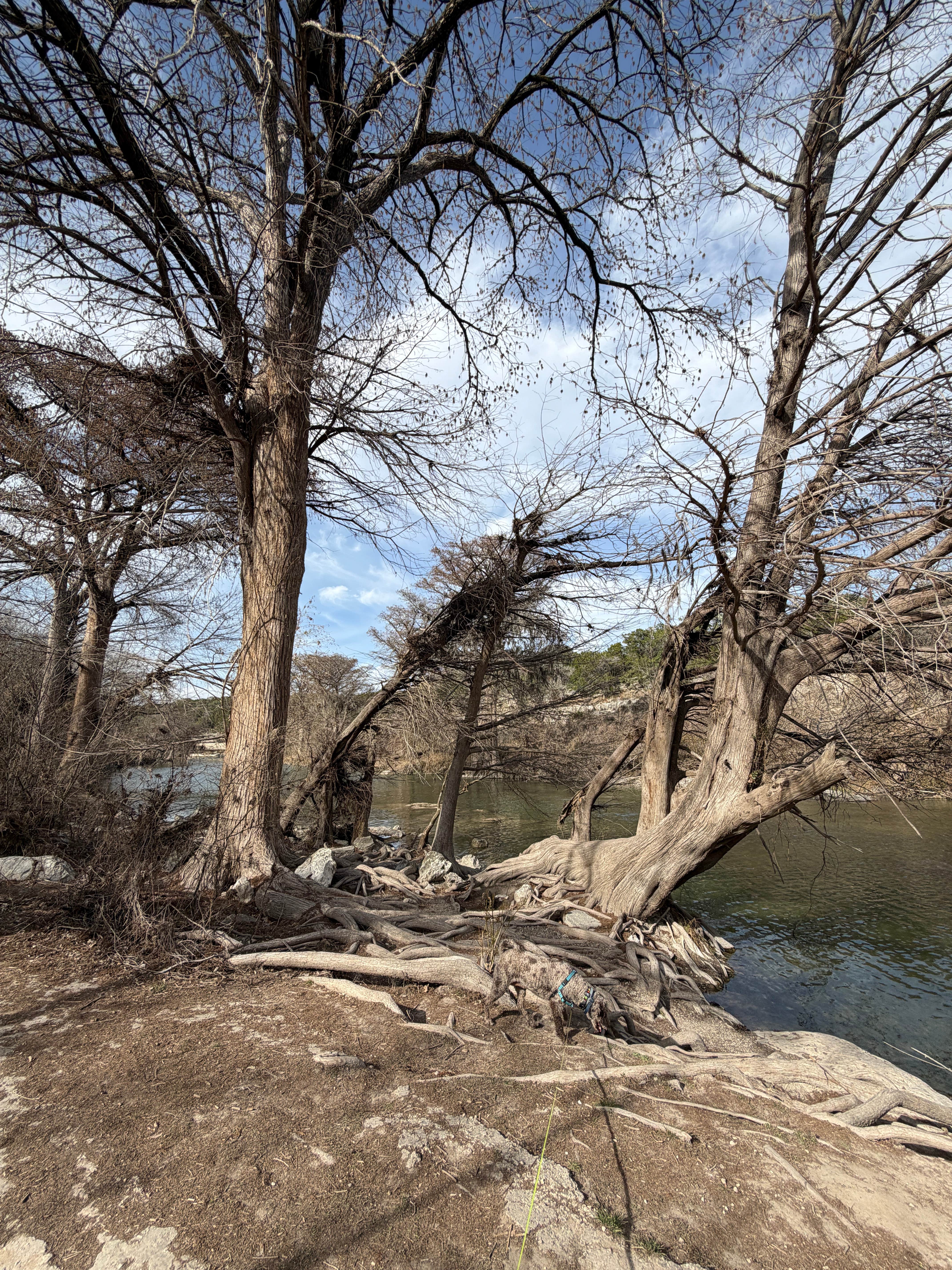 Camper-submitted photo at Turkey Sink Camping Area — Guadalupe River State Park near Kendalia, TX