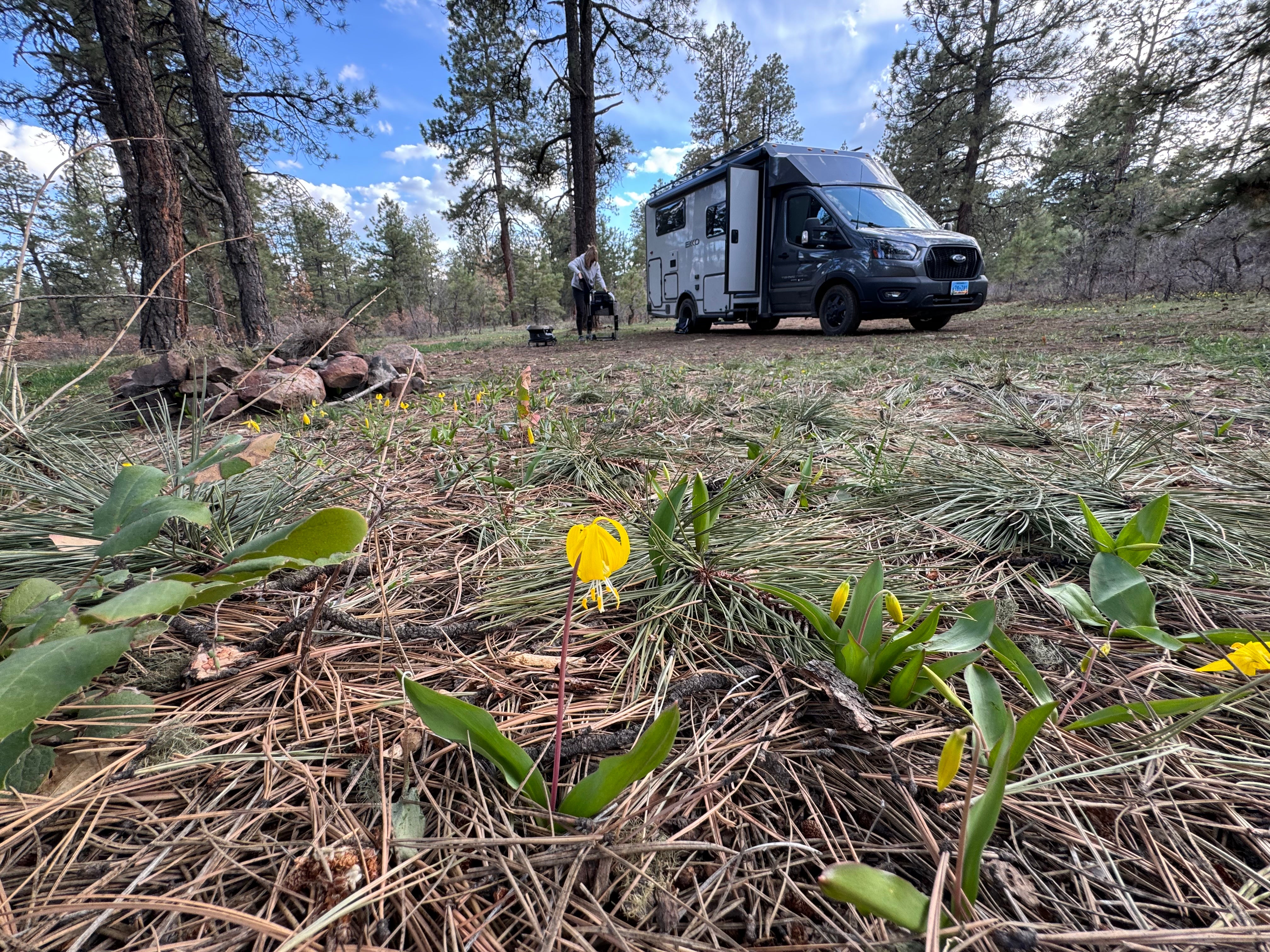 Camper submitted image from Turkey Springs - 1