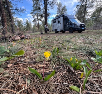 Camper-submitted photo from Turkey Springs