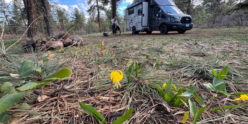 Camper submitted image from Turkey Springs