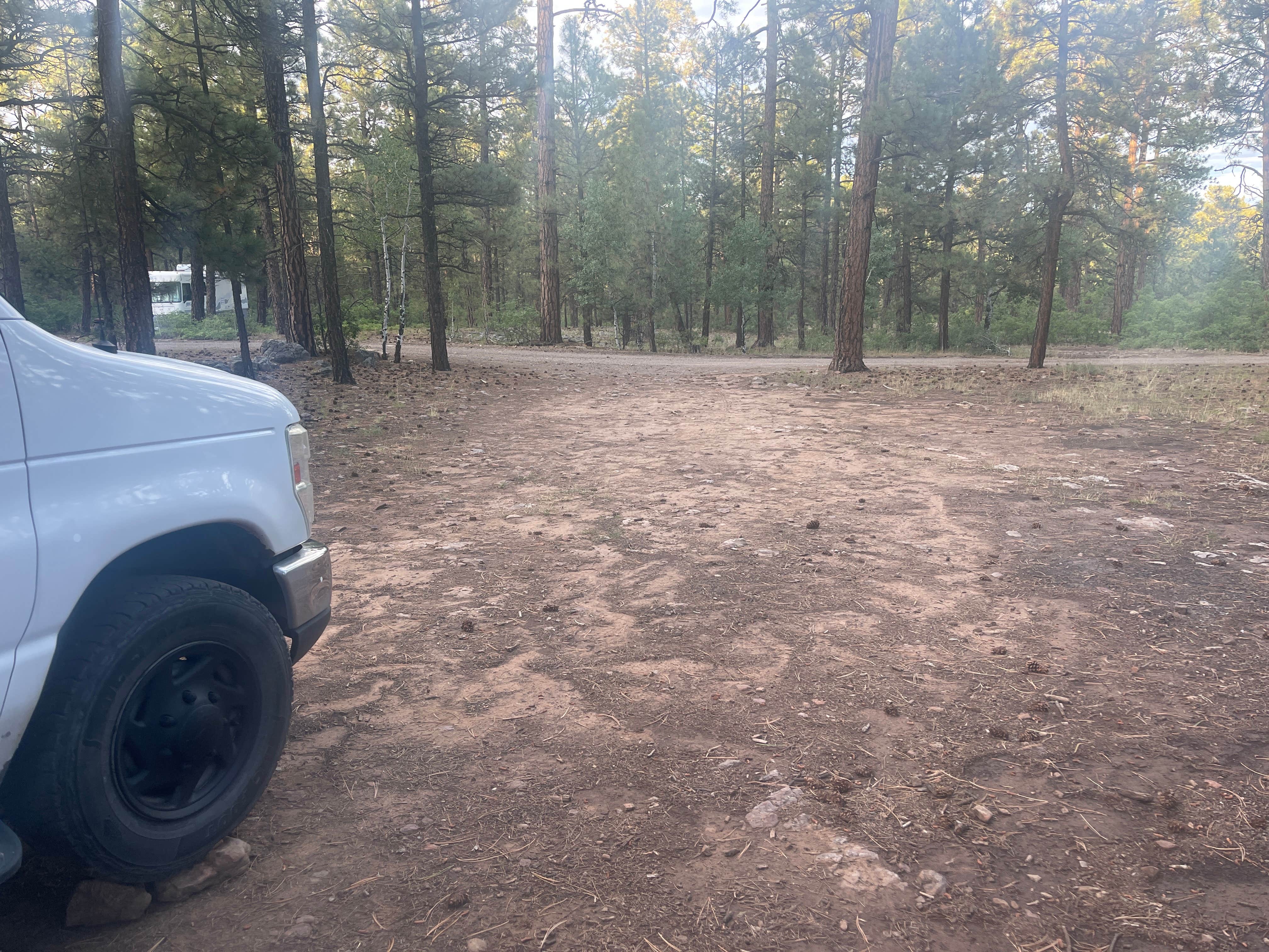 Camper-submitted photo at Turkey Springs near Pagosa Springs, CO