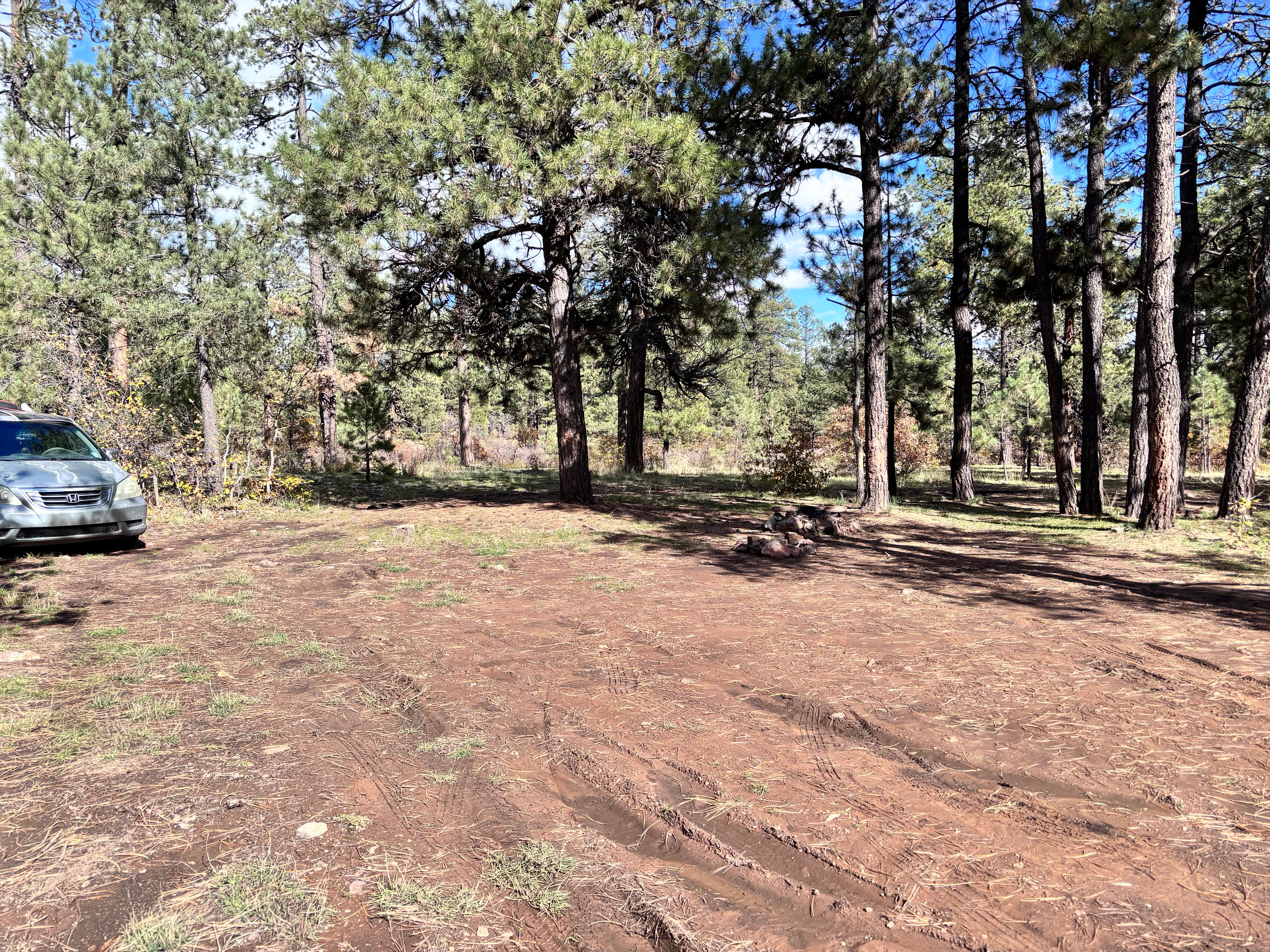 Camper-submitted photo at Turkey Springs near Chimney Rock, CO