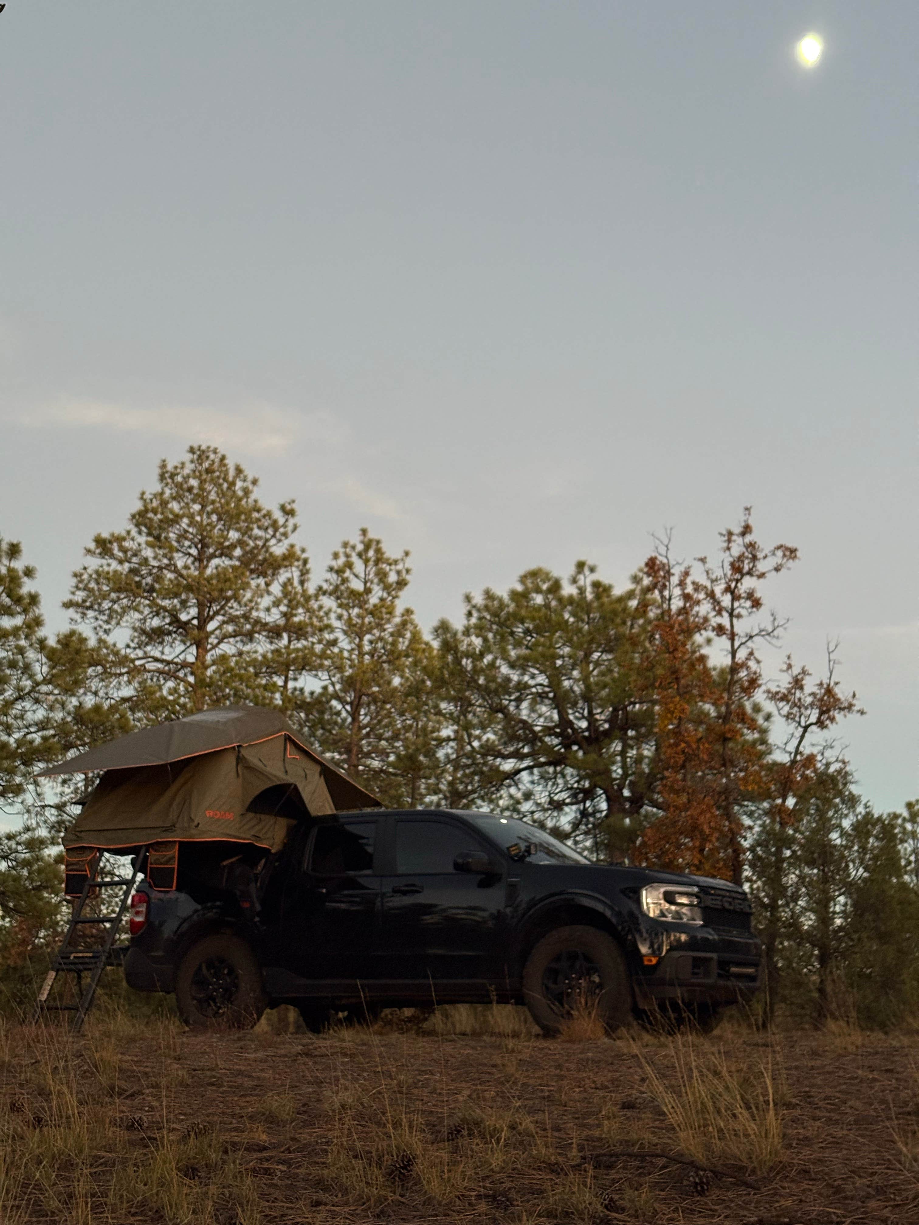 Camper submitted image from Turkey Springs - 1