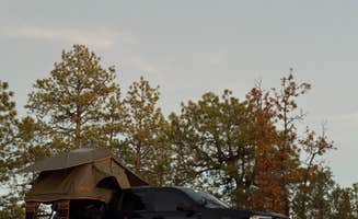 Austin C.'s photo at Turkey Springs near Bluewater Village, NM