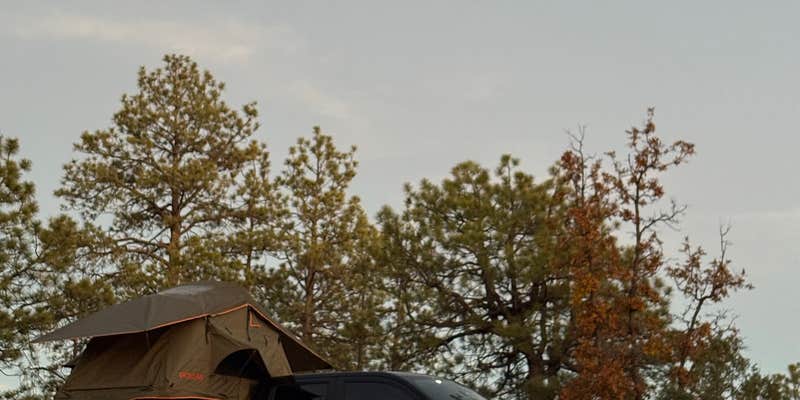 Camper submitted image from Turkey Springs