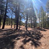 Review photo of Turkey Springs by H W., June 16, 2026