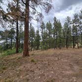 Review photo of Turkey Springs by Steve M., July 2, 2025