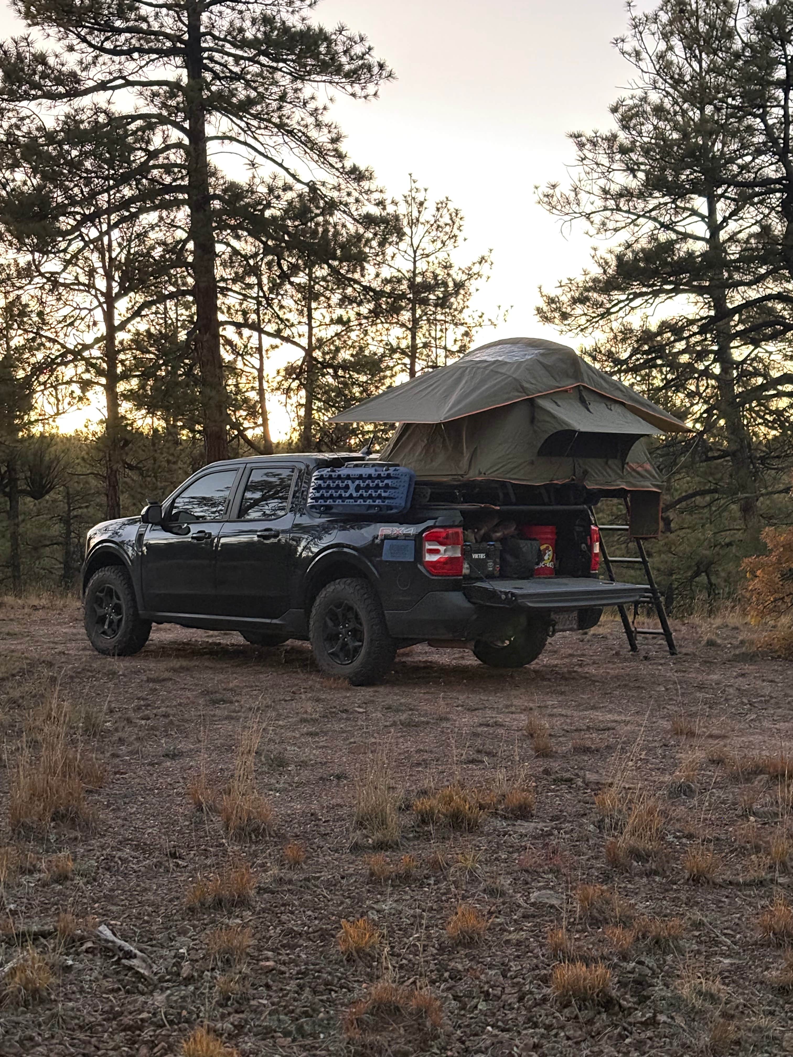 Camper-submitted photo at Turkey Springs near Prewitt, NM