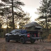 Review photo of Turkey Springs by Austin C., December 13, 2025