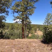 Review photo of Turkey Springs by H W., June 16, 2026