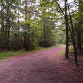 Review photo of Turner Creek Road by Jacob , June 8, 2025