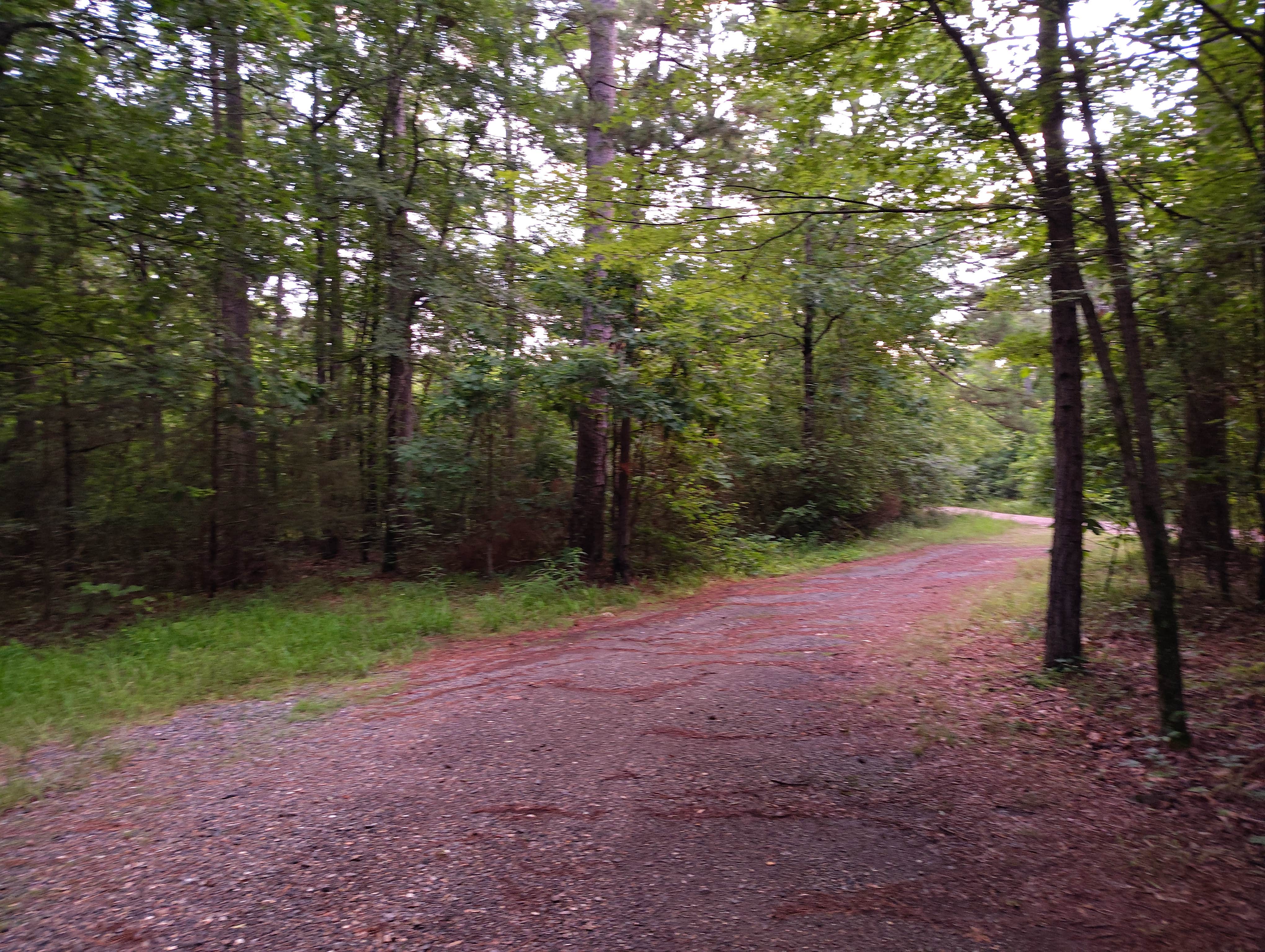 Camper submitted image from Turner Creek Road - 2